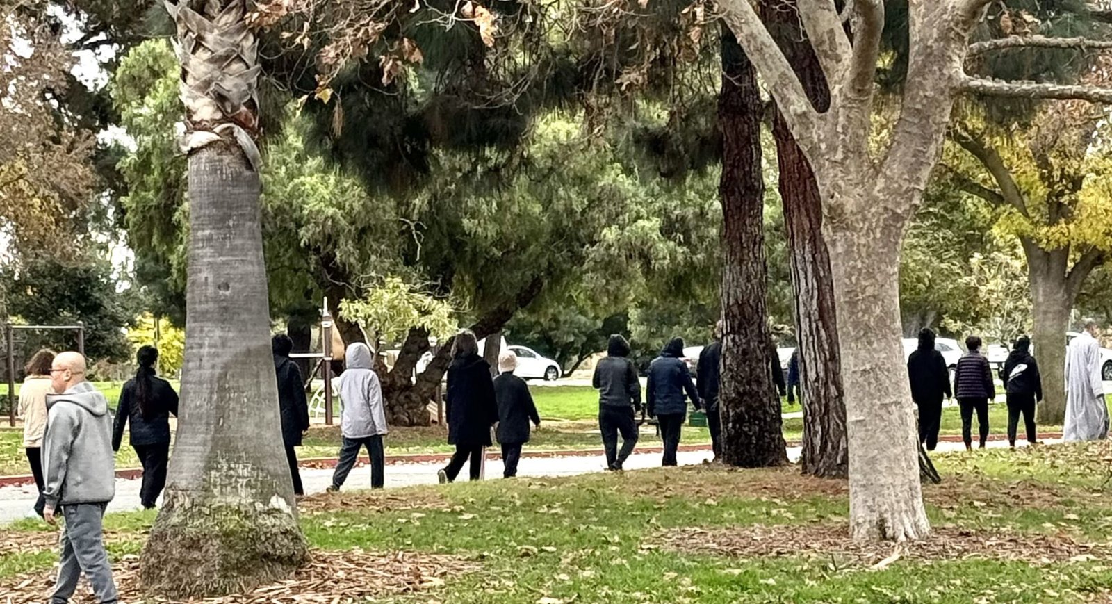 2023年末半日禪的心得與修行收穫