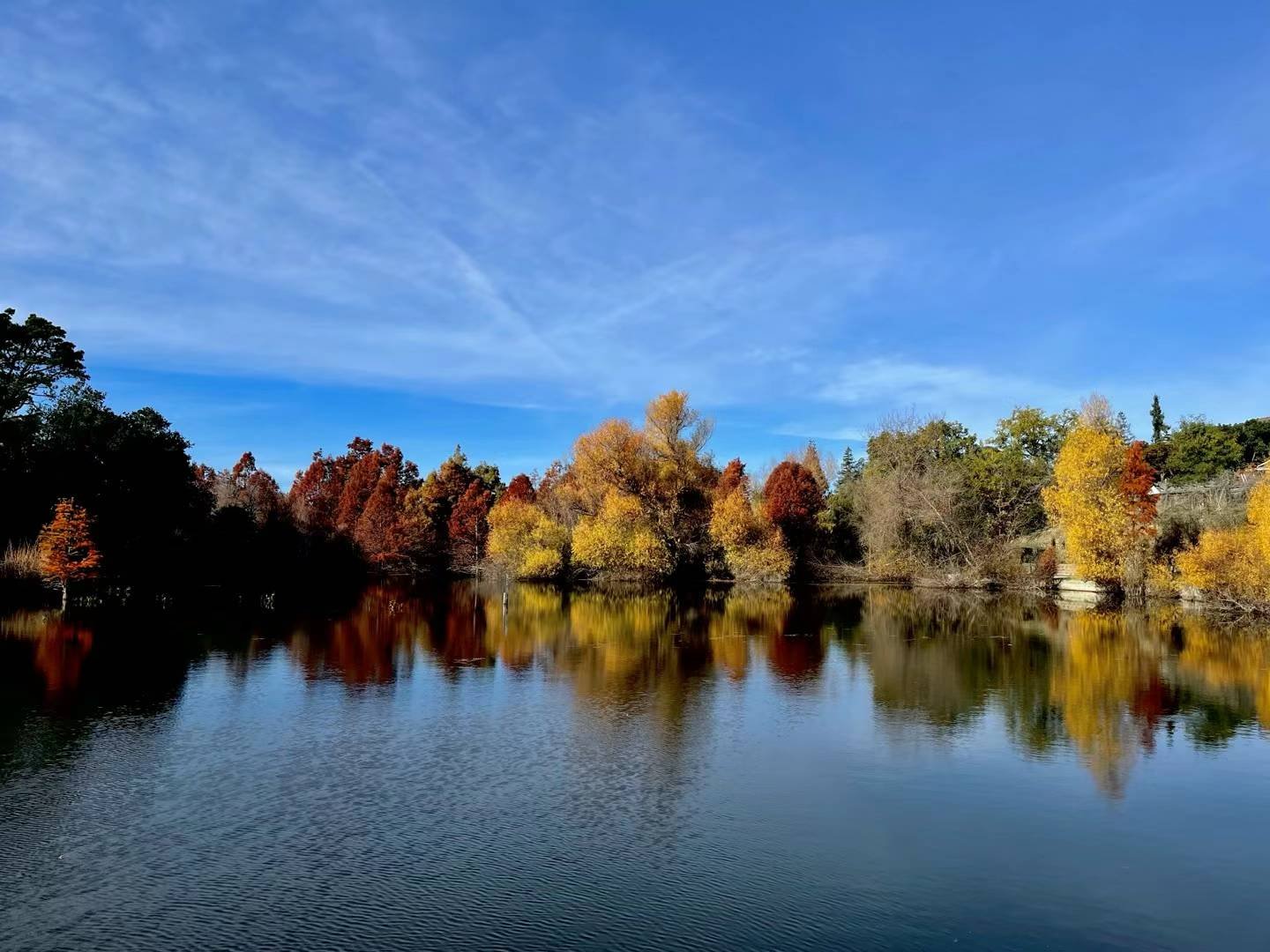 戶外半日禪的充電體驗