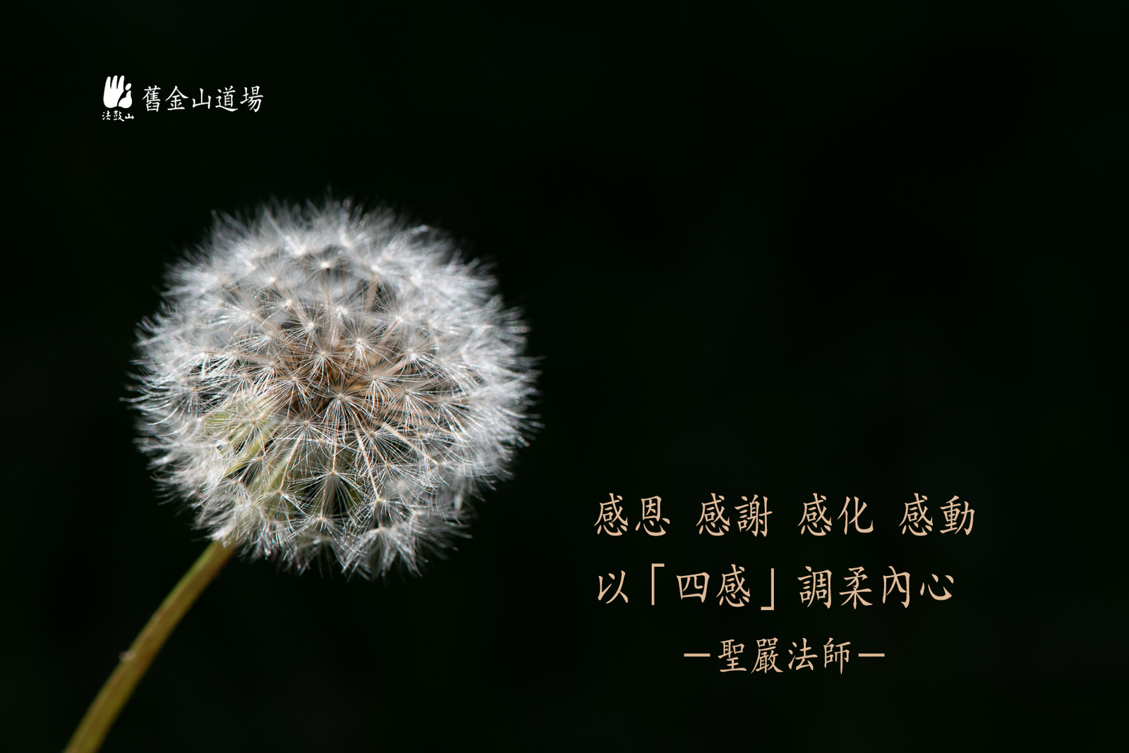 回顧影片 回顧初心